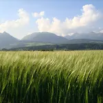 Farmház Bacherhof Mariapfarr