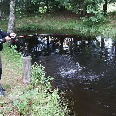 בית חווה Bacherhof מריהפאר
