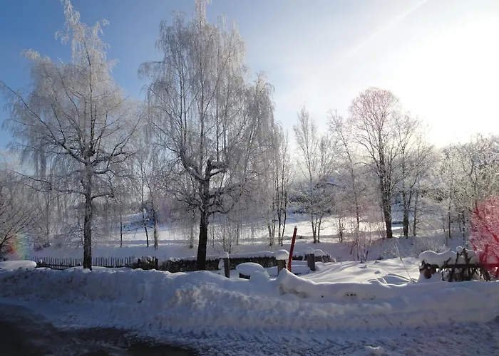 Bacherhof * Mariapfarr