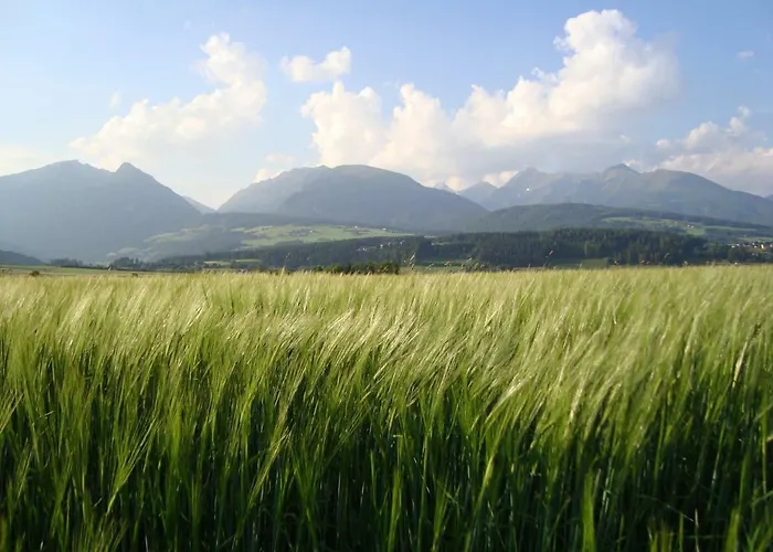 בית חווה Bacherhof מריהפאר