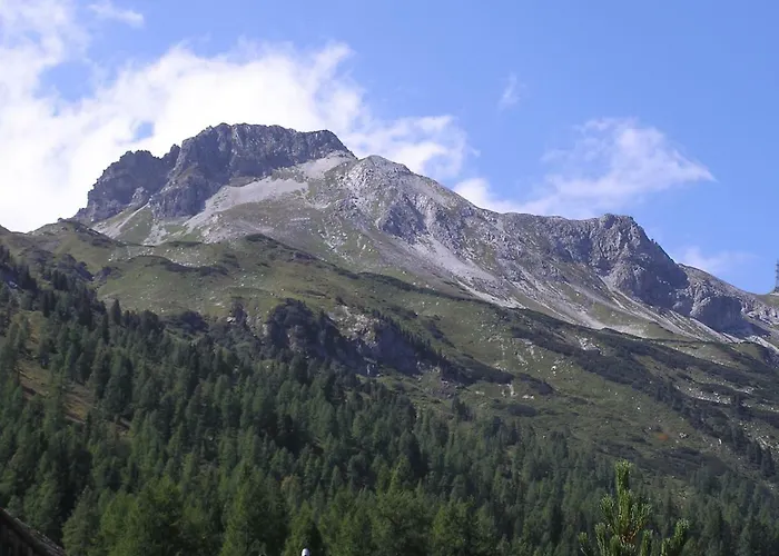 Lantgård Bacherhof Mariapfarr